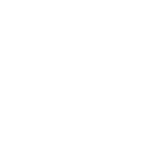 Максидом